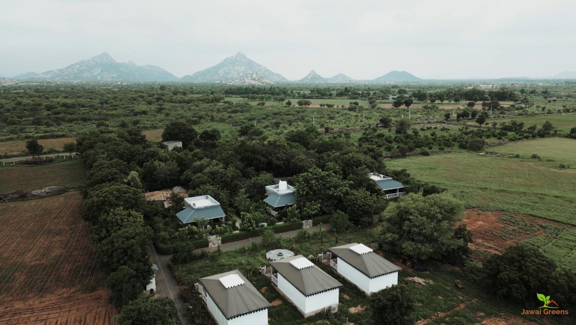 Jawai Greens Jawai Bandh Luaran gambar